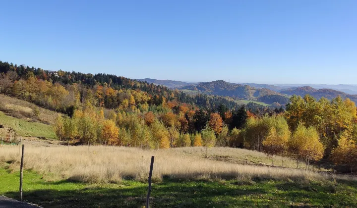 Działka budowlana Laskowa