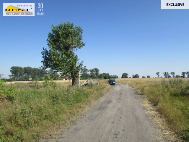 Działka inwestycyjna Kicko. Zdjęcie 2