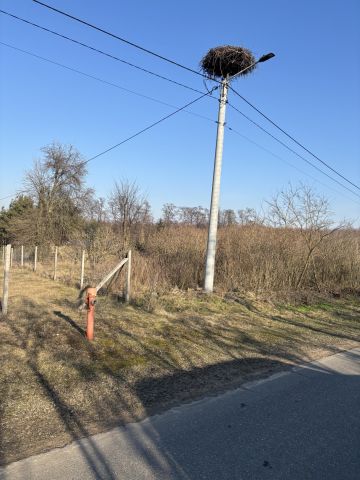 Działka budowlana Przybyłów. Zdjęcie 2