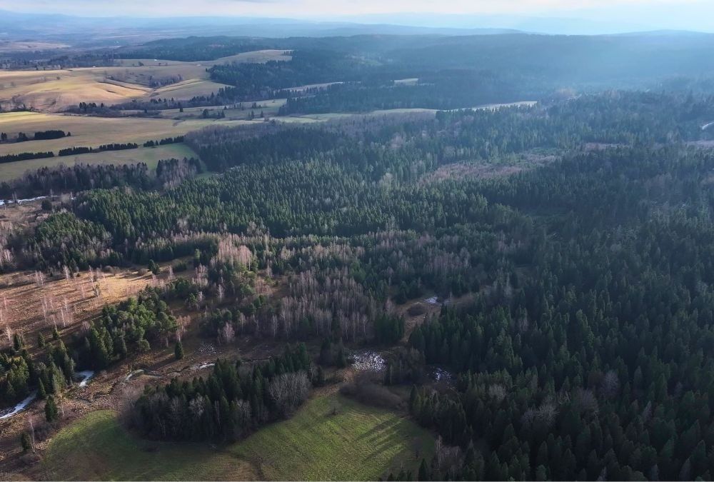 Działka rolna Czarna. Zdjęcie 5