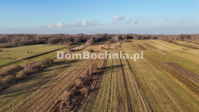 Działka budowlana Jodłówka. Zdjęcie 8