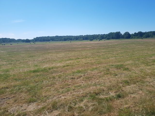 Działka budowlana Sarbsk, Sarbsk. Zdjęcie 12