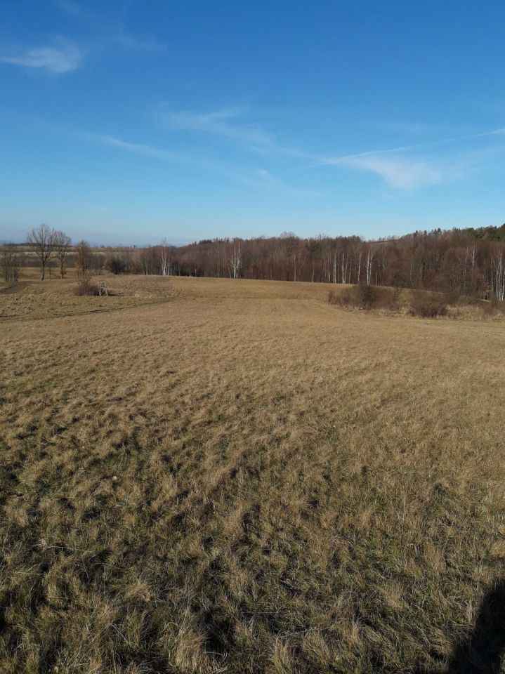 Działka rolna Wilkanów. Zdjęcie 7