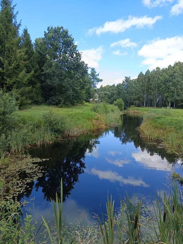dom wolnostojący, 11 pokoi Grabowska Huta, ul. Gdyńska. Zdjęcie 7