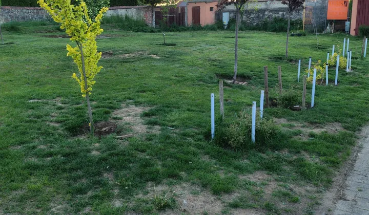 dom wolnostojący, 6 pokoi Miszewo