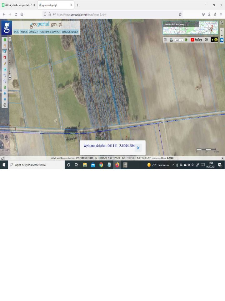 Działka leśna Dwornia. Zdjęcie 2