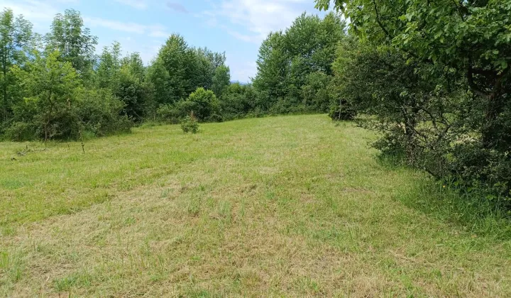 Działka rolna Mutne