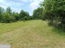 Działka rolna Mutne