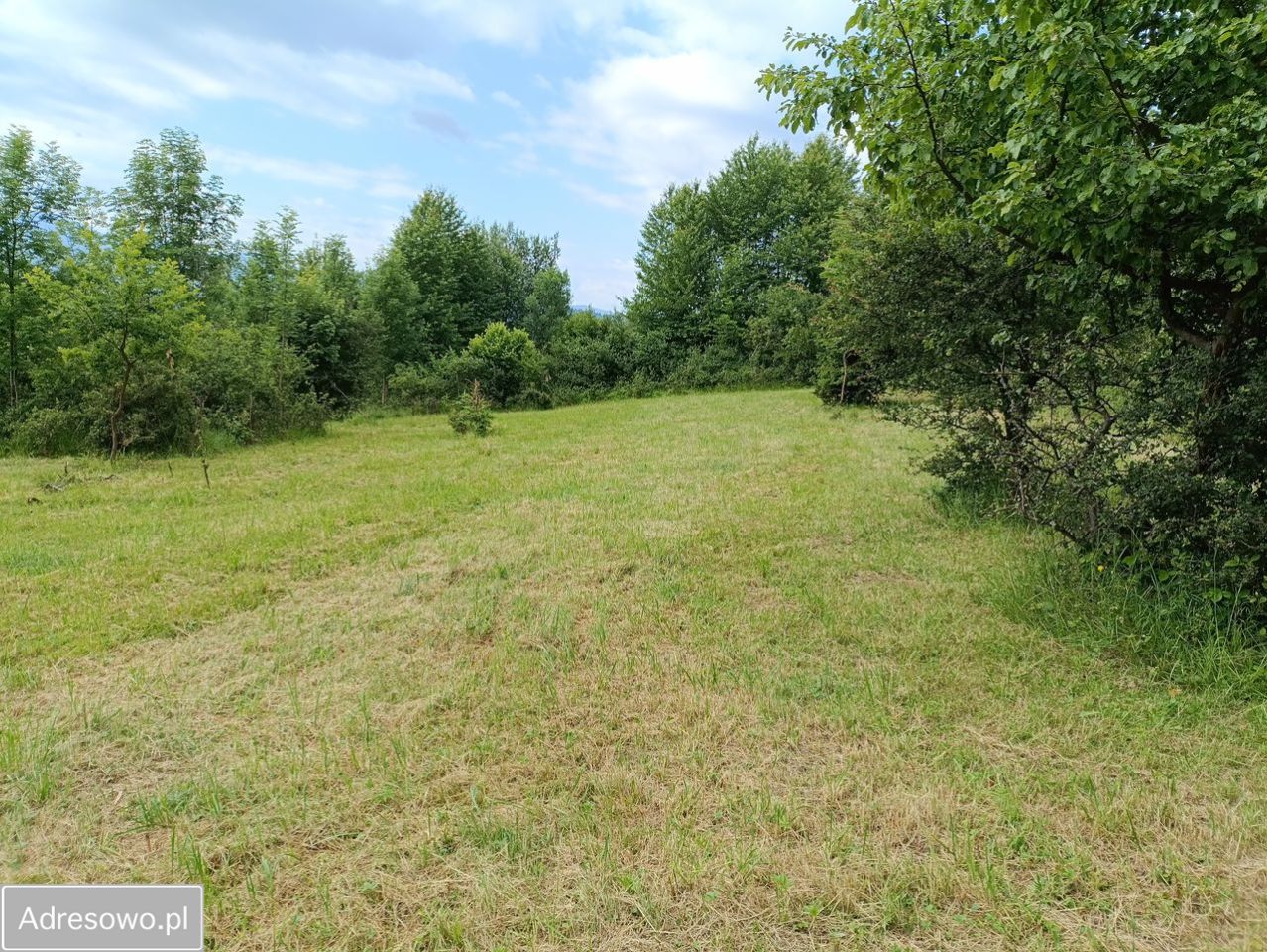 Działka rolna Mutne