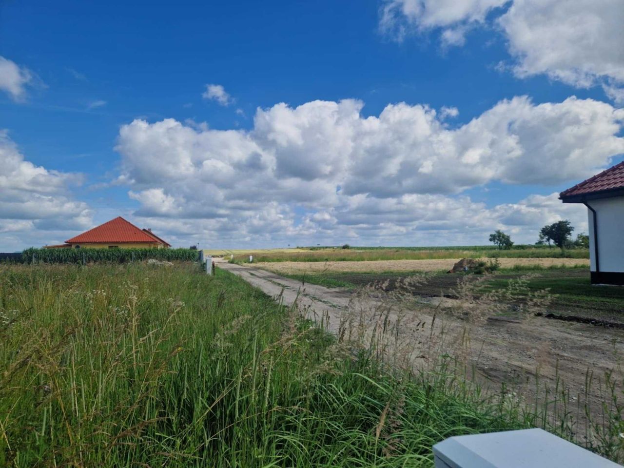 Działka budowlana Wiązów. Zdjęcie 5