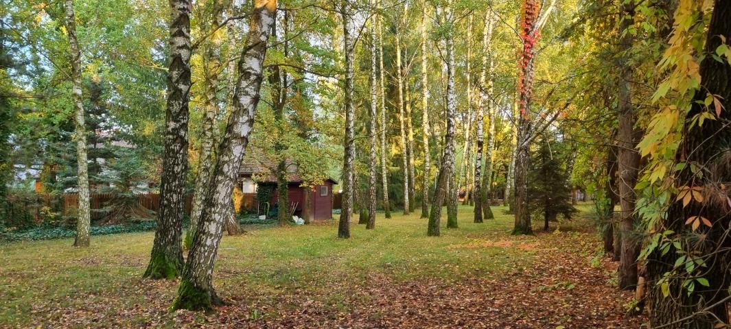 Działka budowlana Komorów. Zdjęcie 4