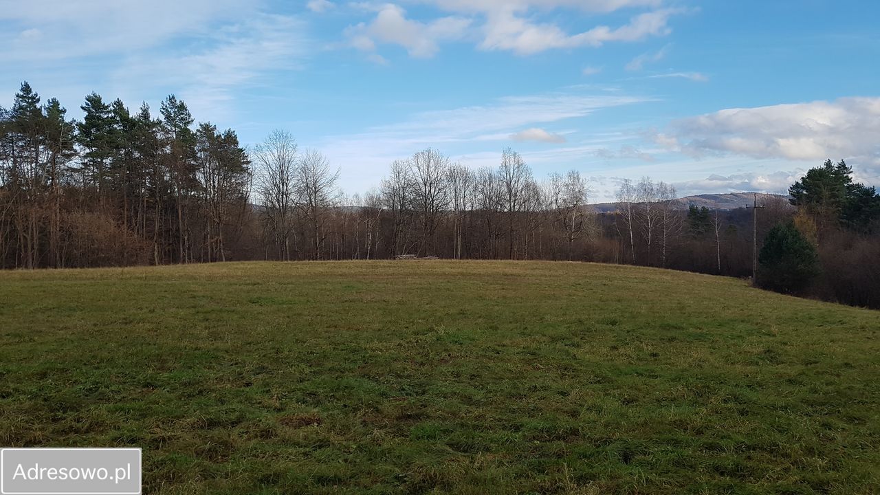 Działka inwestycyjna Bóbrka. Zdjęcie 9