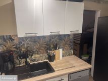 Działka rod Bydgoszcz Prądy, ul. Lisia. Zdjęcie 4