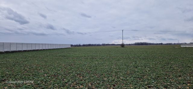 Działka budowlana Rzędziwojowice. Zdjęcie 1