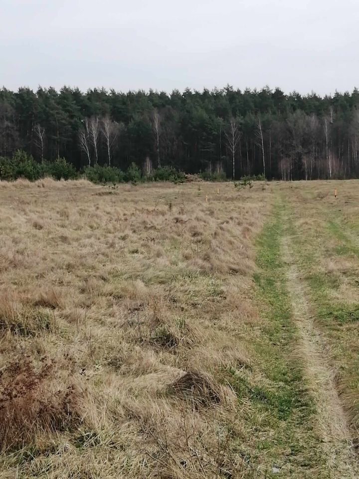 Działka budowlana Porządzie Porządzie-Kolonia. Zdjęcie 19