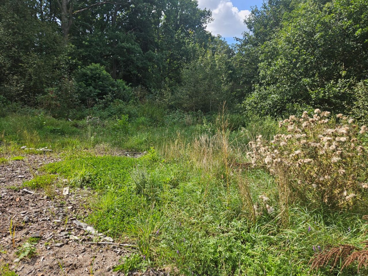 Działka budowlana Krosino, Krosino. Zdjęcie 9