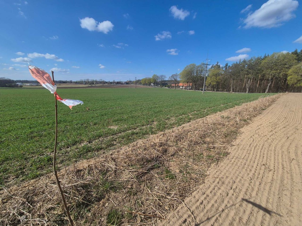 Działka budowlana Kluczkowo. Zdjęcie 1