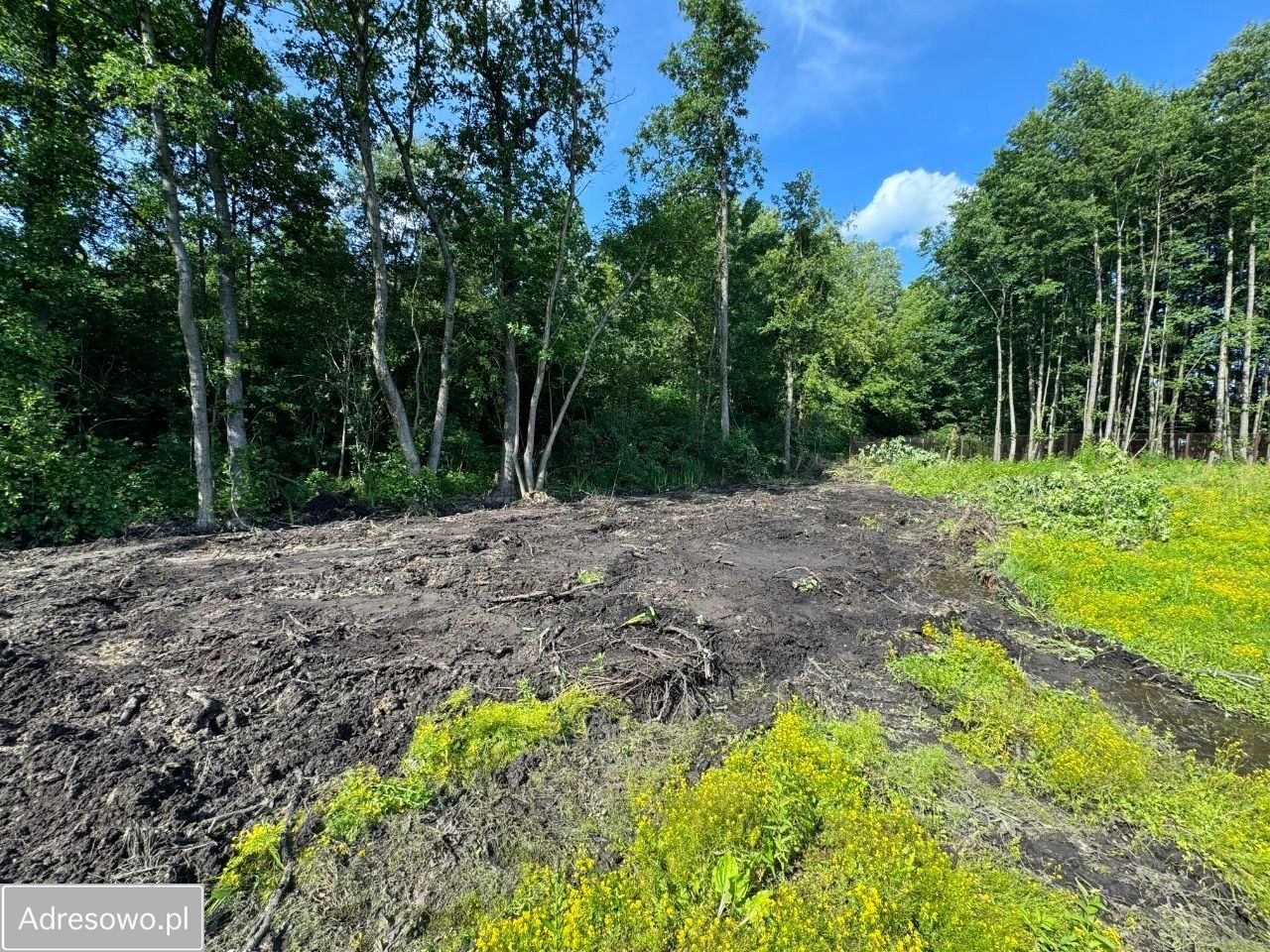 Działka budowlana Kuznocin. Zdjęcie 3