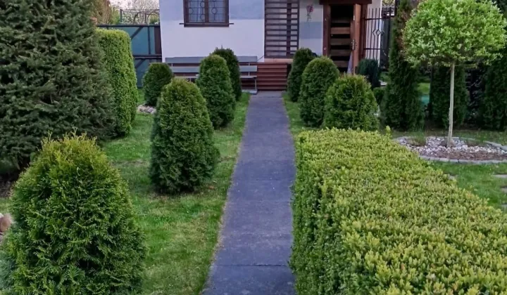 Działka rod Gliwice Śródmieście, ul. Rybnicka