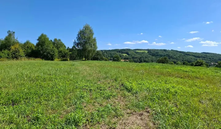 Działka rolno-budowlana Glinik Zaborowski