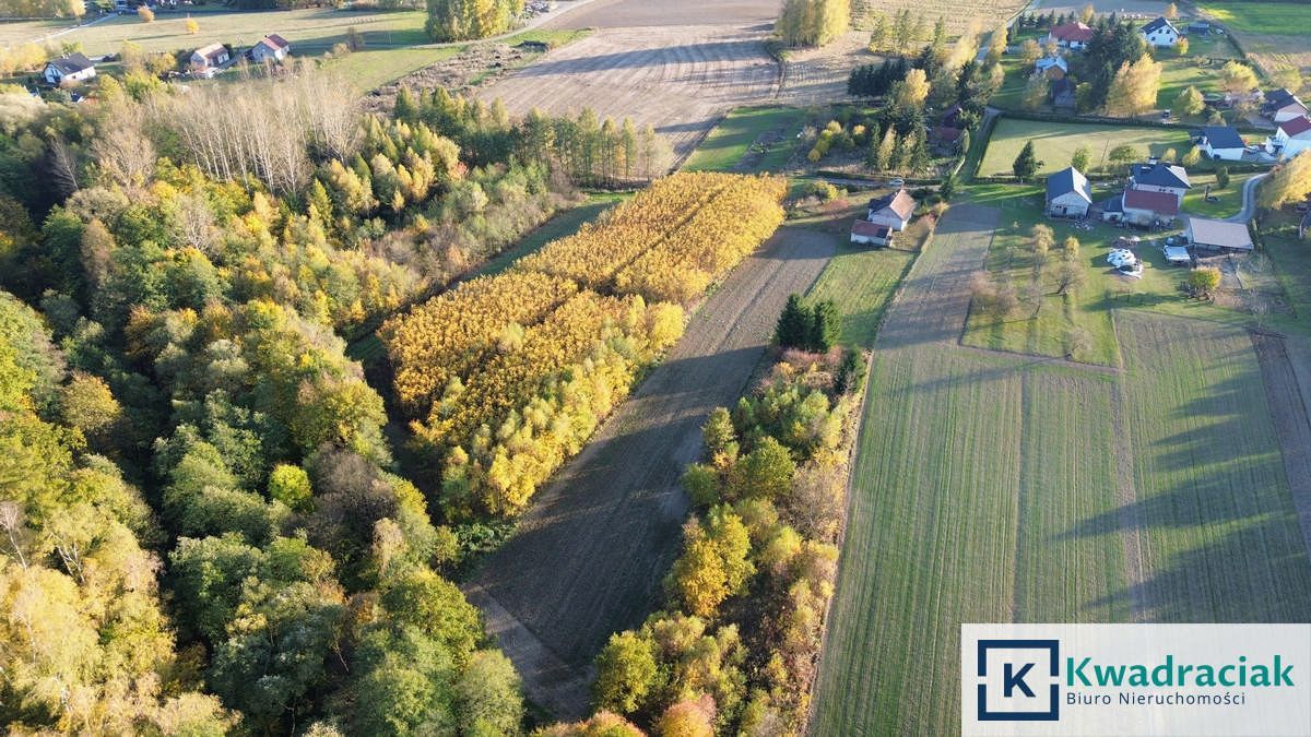 dom wolnostojący, 3 pokoje Gąsówka. Zdjęcie 21