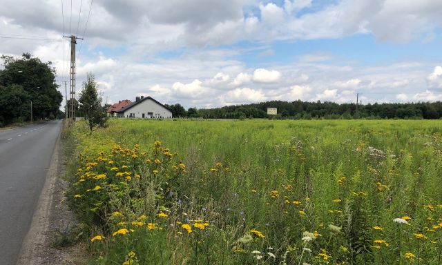 Działka inwestycyjna Łódź Widzew, ul. Malownicza. Zdjęcie 1