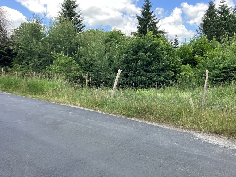 Działka rolno-budowlana Łozy. Zdjęcie 6