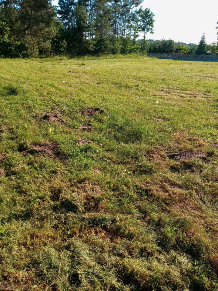 Działka budowlana Morawica, ul. Szkolna. Zdjęcie 6