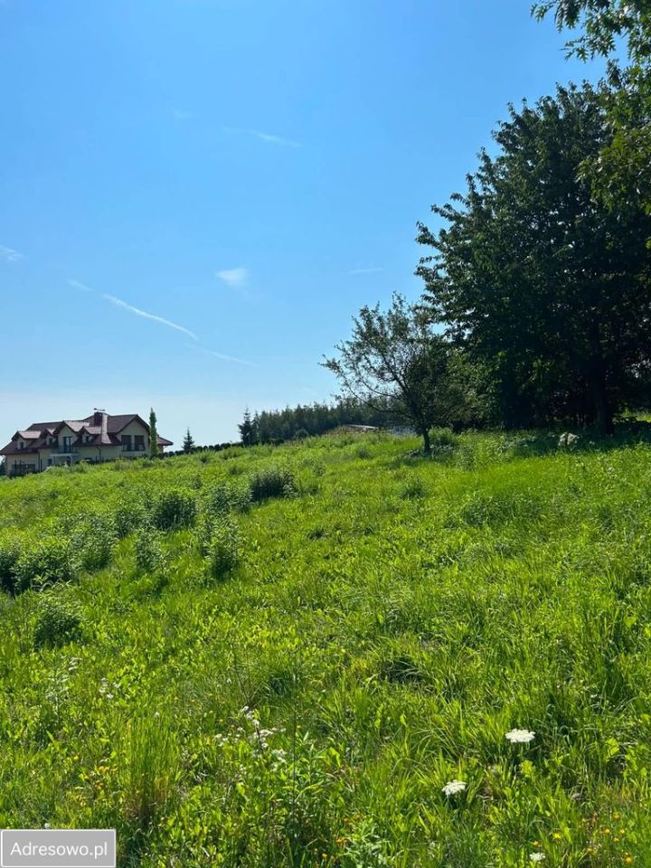 Działka rolna Pielgrzymowice, ul. Tatrzańska. Zdjęcie 3