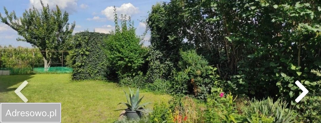 Nieruchomość komercyjna Świszewy. Zdjęcie 5