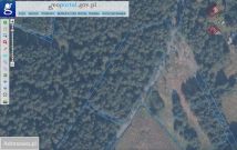 Działka leśna Białkowo. Zdjęcie 1