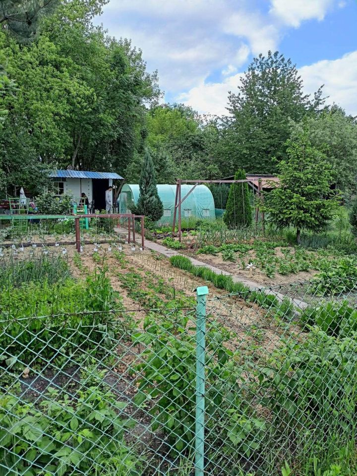 Działka rekreacyjna Wrocław Psie Pole, al. Marcina Kromera