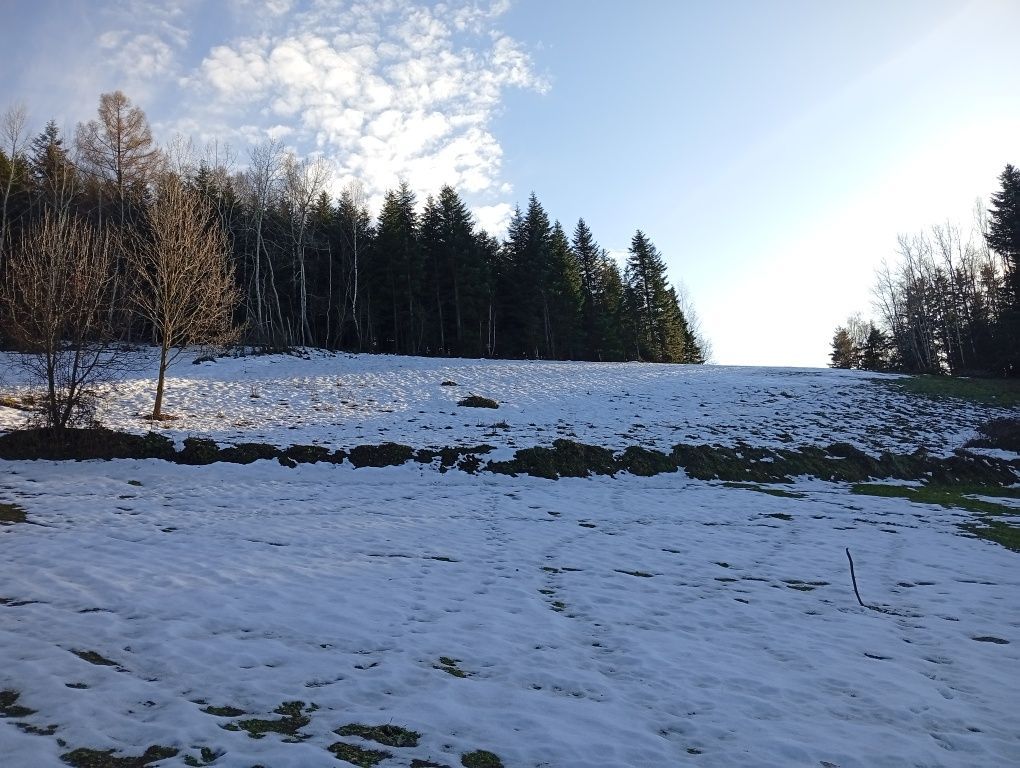 Działka rolna Popowice. Zdjęcie 4