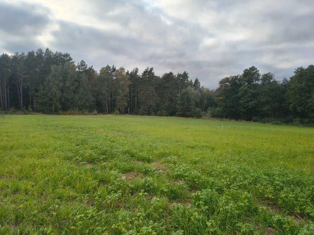 Działka rolno-budowlana Sulnowo. Zdjęcie 1
