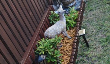 dom letniskowy, 2 pokoje Lgiń