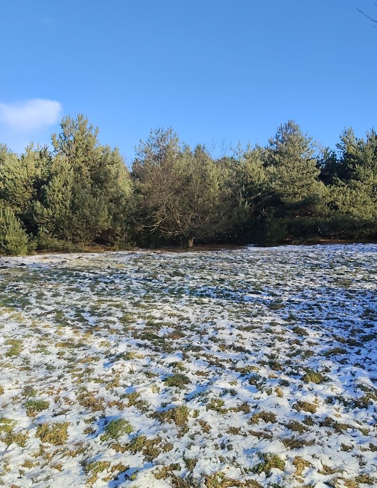 Działka budowlana Borów Nowy Borów. Zdjęcie 2