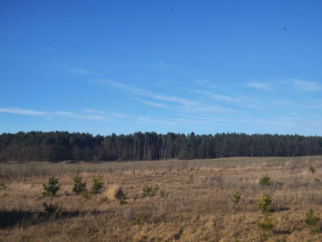 Działka budowlana Janczewo, ul. Długa. Zdjęcie 1