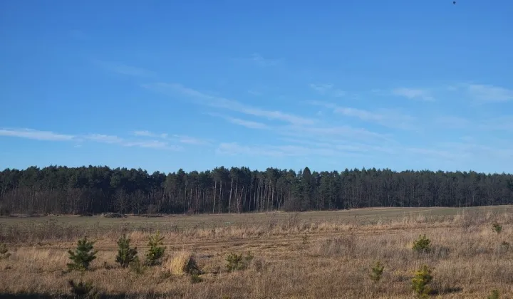 Działka budowlana Janczewo, ul. Długa