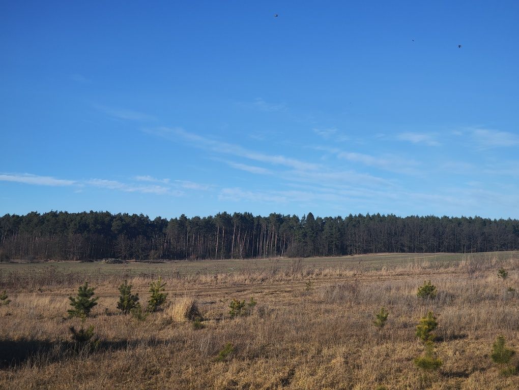 Działka budowlana Janczewo, ul. Długa. Zdjęcie 1