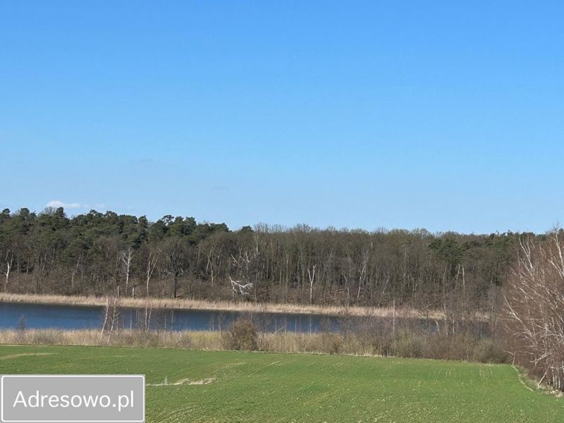 Hala/magazyn Wielka Wieś, ul. Czereśniowa. Zdjęcie 8