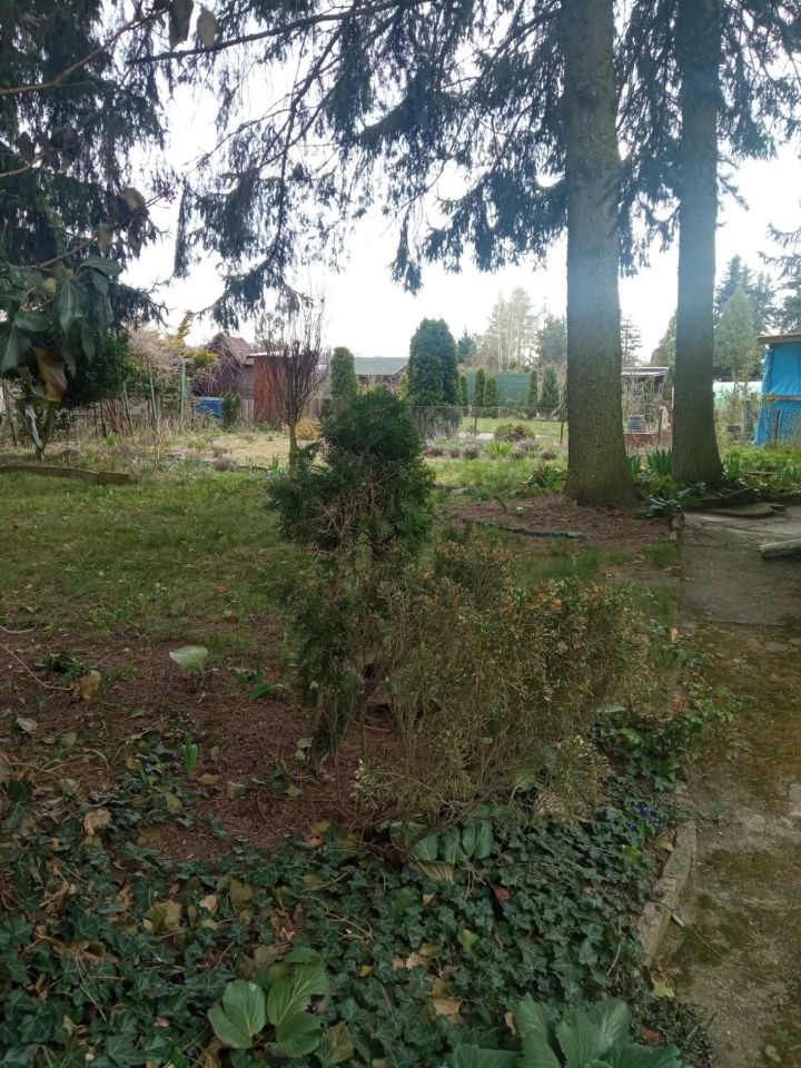 Działka rod Ciechanów Gostków. Zdjęcie 2