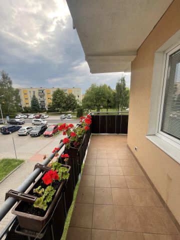 Mieszkanie 3-pokojowe Rumia Janowo, ul. Stoczniowców. Zdjęcie 12