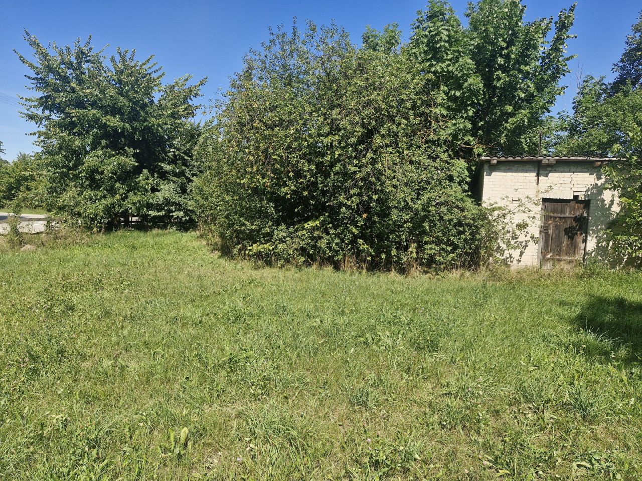Działka siedliskowa Uścianek-Dębianka. Zdjęcie 6