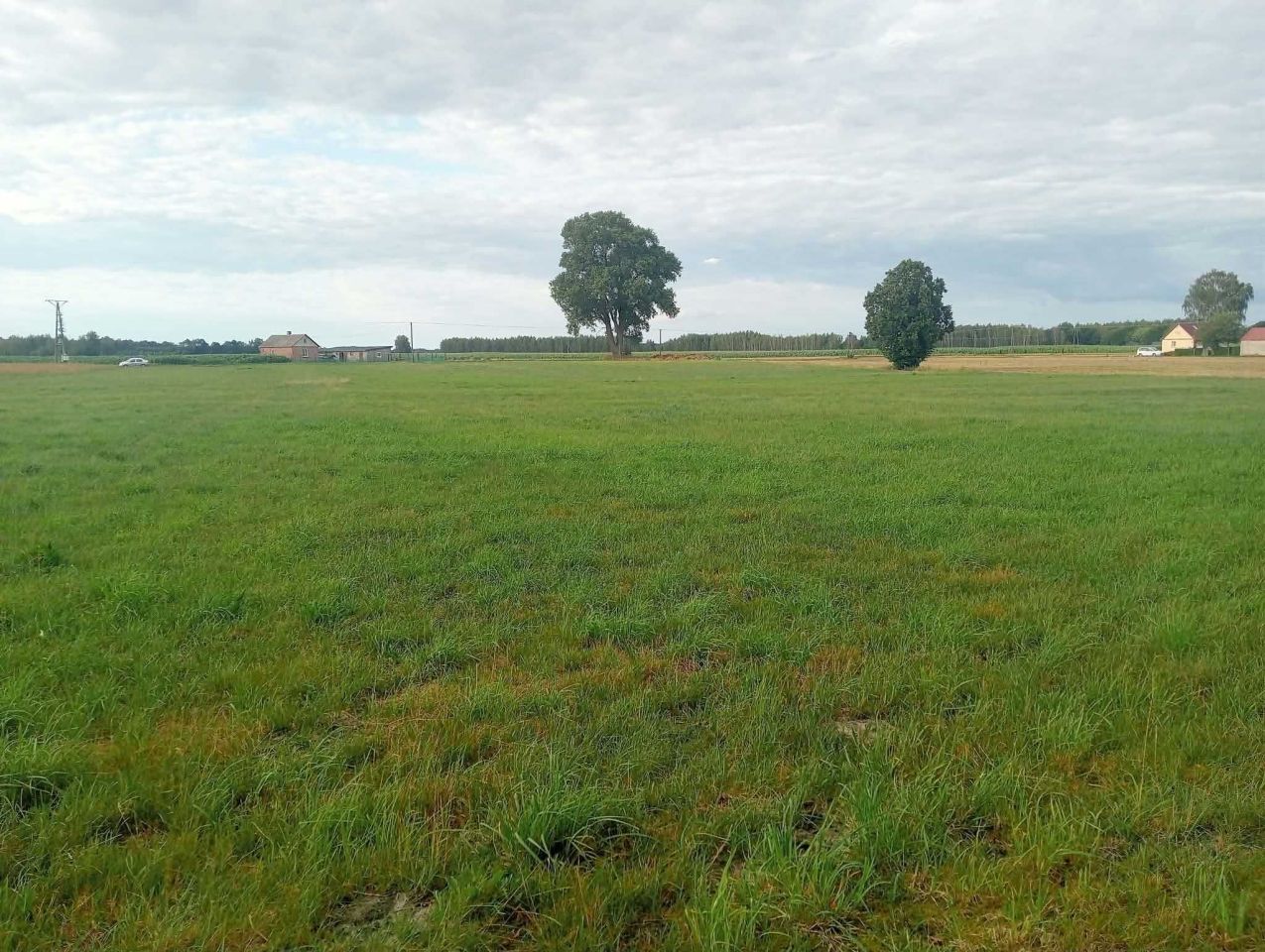 Działka budowlana Krzywda, ul. Żytnia. Zdjęcie 3