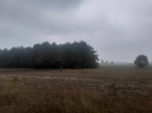 Działka budowlana Dąbrowica-Kolonia. Zdjęcie 1