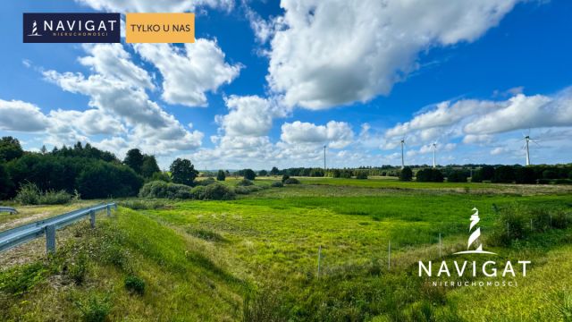 Działka rolna Gęś. Zdjęcie 4