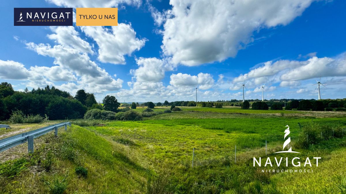 Działka rolna Gęś. Zdjęcie 4