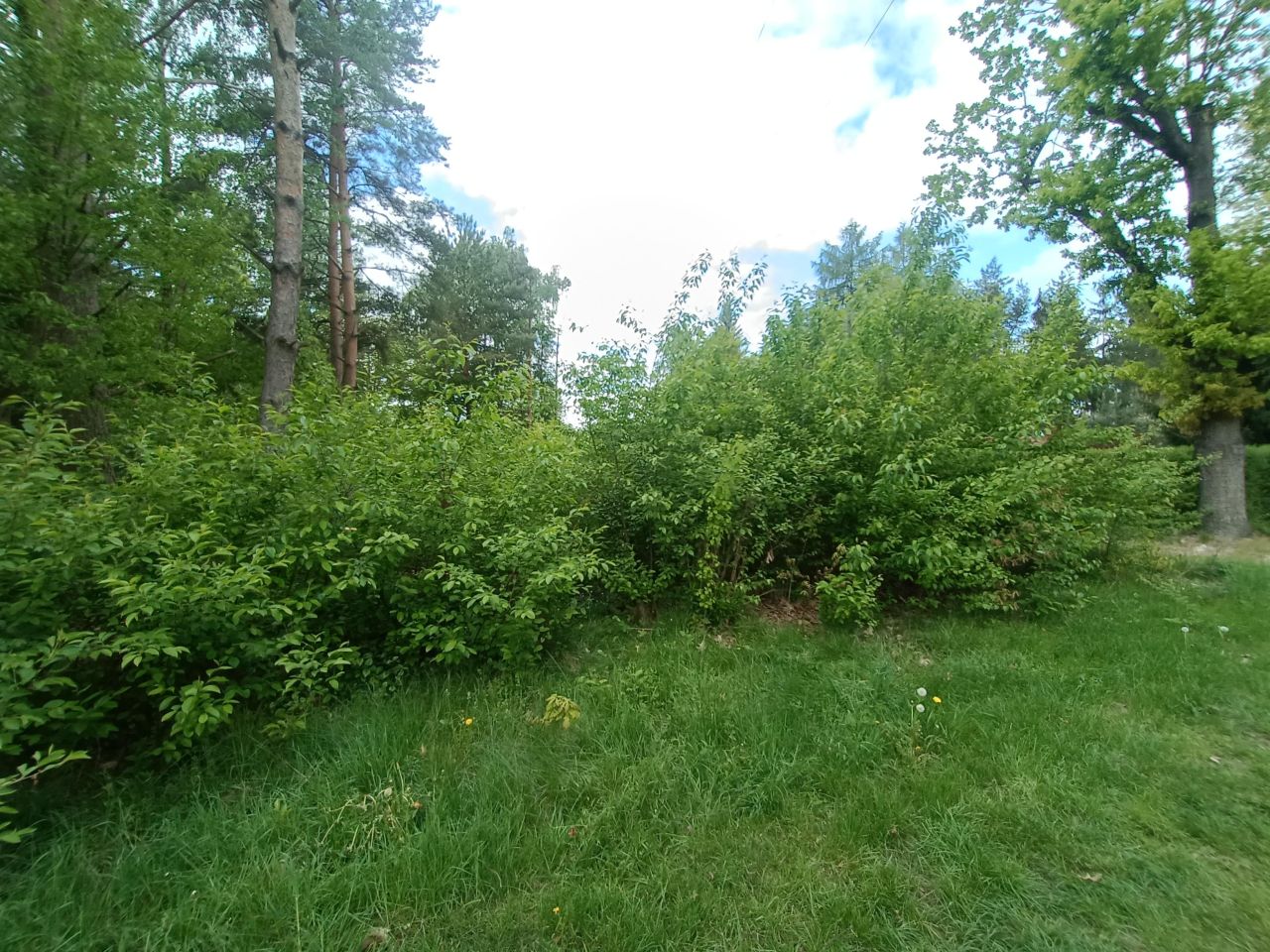 Działka budowlana Tomczyce. Zdjęcie 7