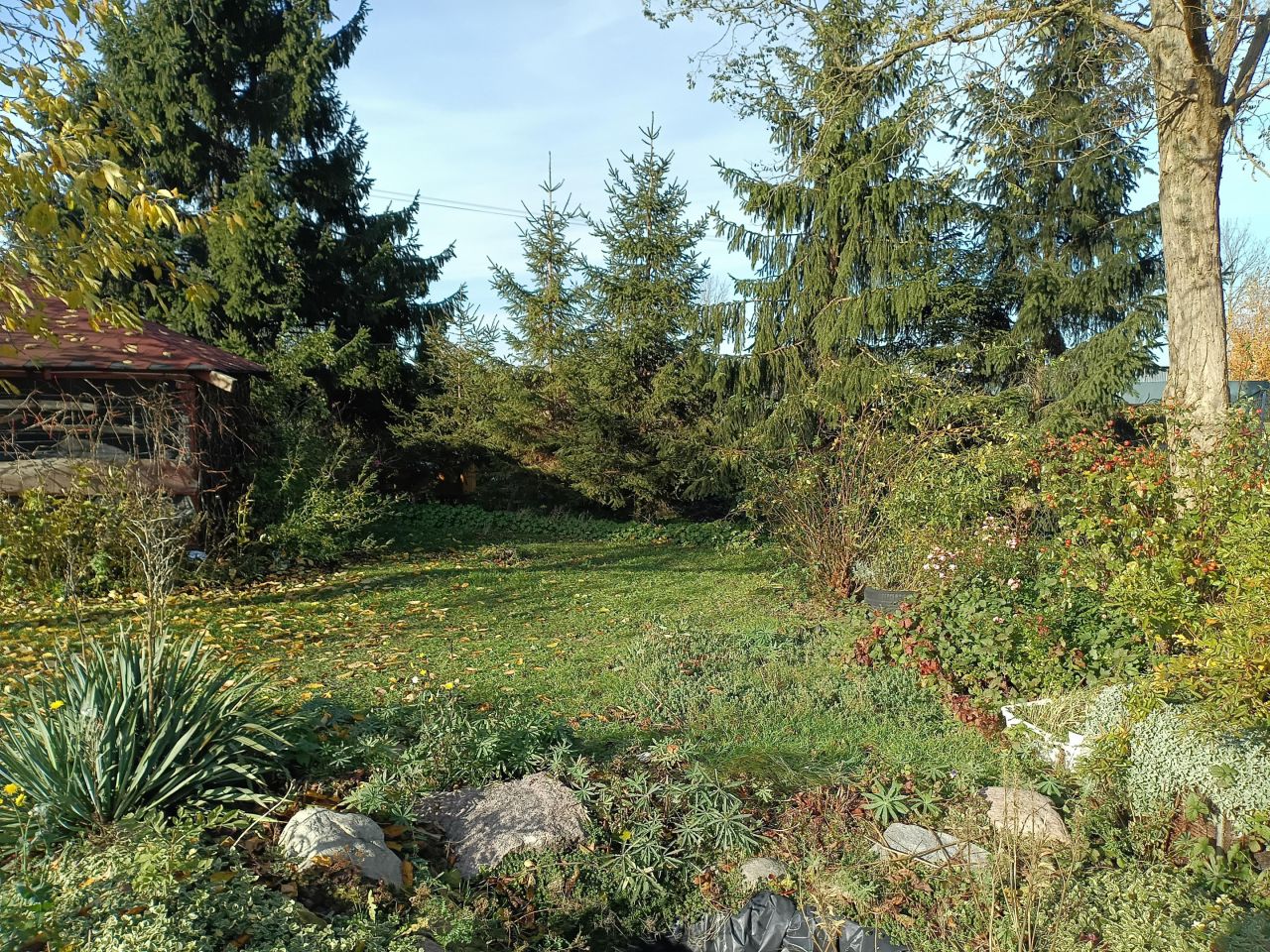 gospodarstwo, 3 pokoje Przydwórz. Zdjęcie 3