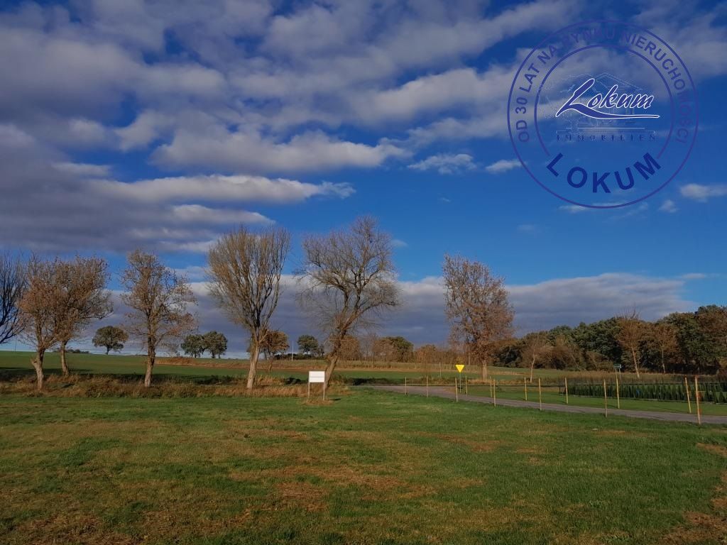 Działka budowlana Świerczyna. Zdjęcie 5